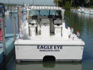Eagle Eye